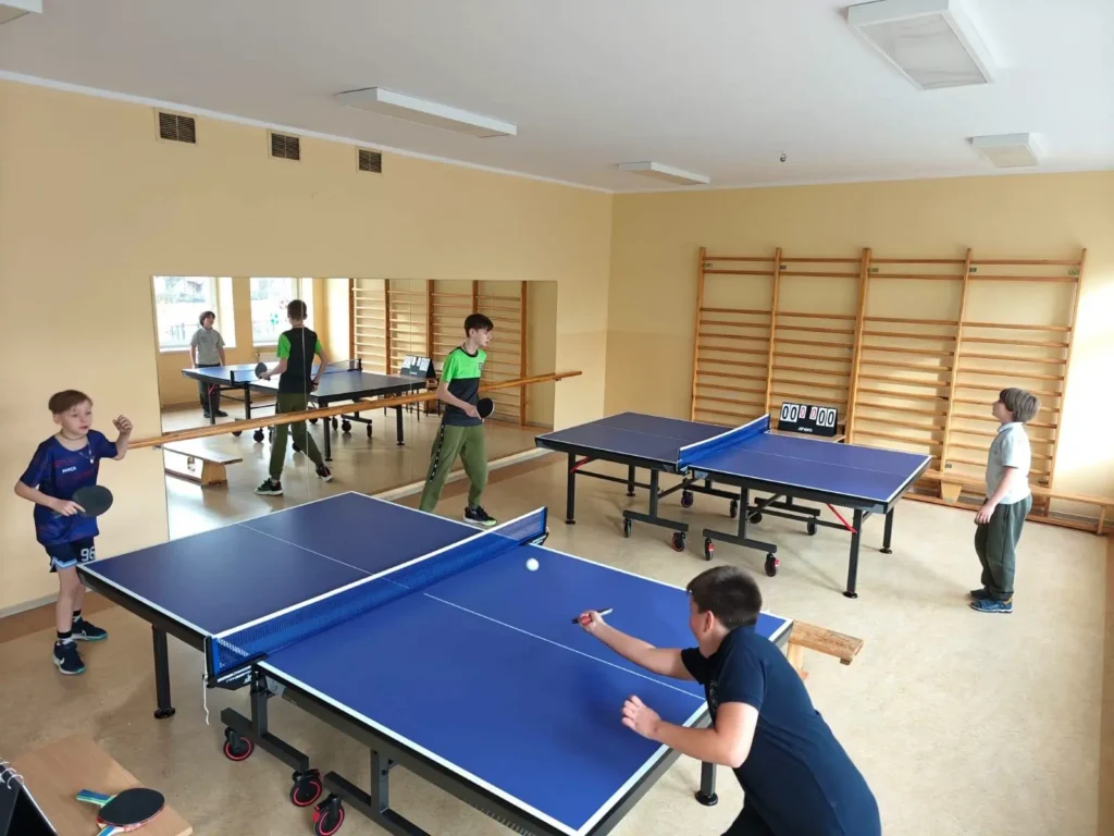 ping1